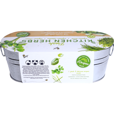 Organic Kitchen Herbs Windowsill Grow Kit | Basil, Cilantro, & Chives