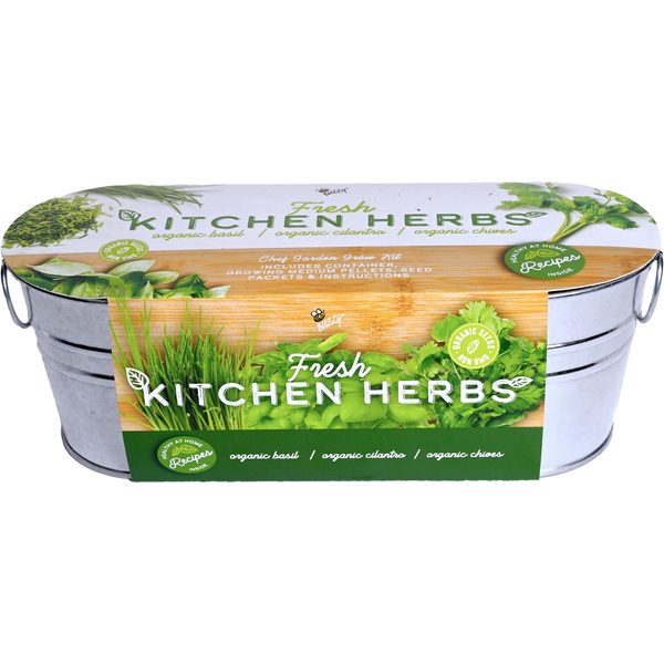 Organic Kitchen Herbs Windowsill Grow Kit | Basil, Cilantro, & Chives