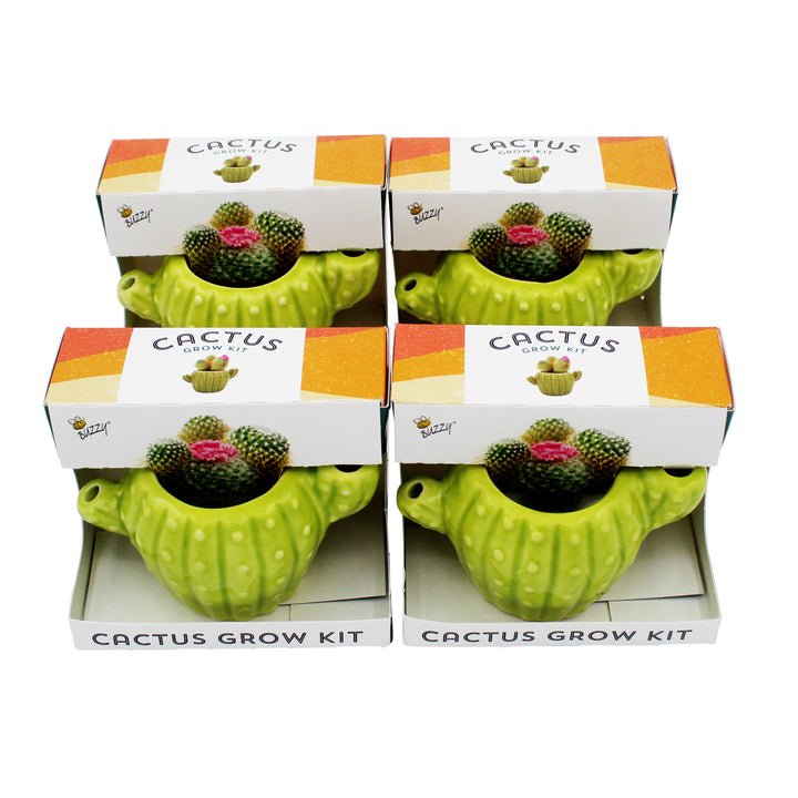 Mini Cactus Grow Kit | 4-Pack Ceramic Planters for Home & Office