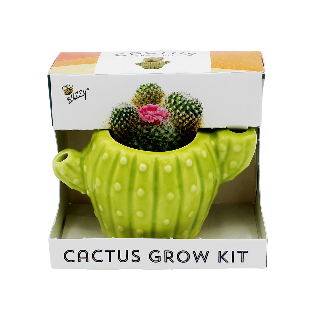 Mini Cactus Grow Kit | 4-Pack Ceramic Planters for Home & Office