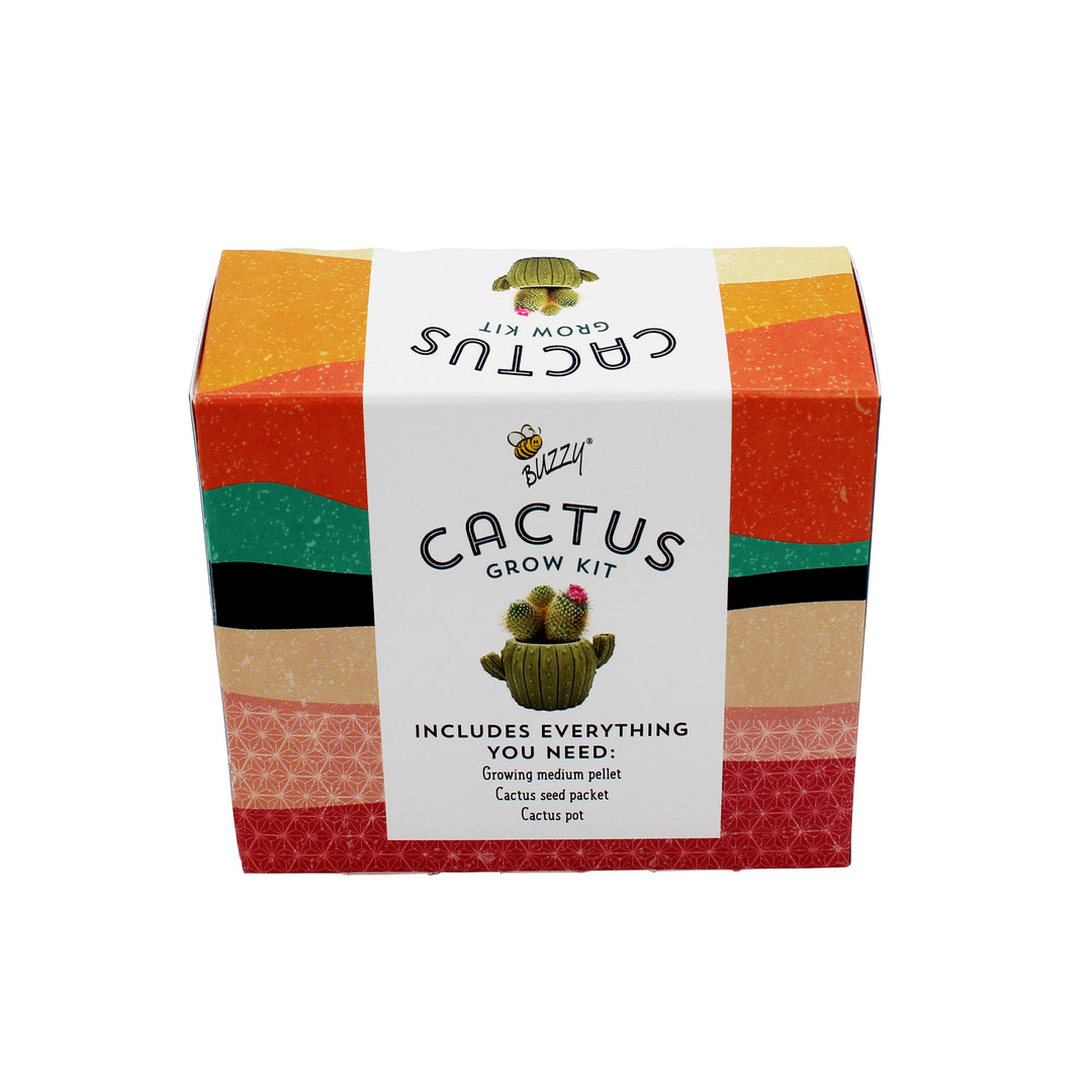 Mini Cactus Grow Kit | 4-Pack Ceramic Planters for Home & Office