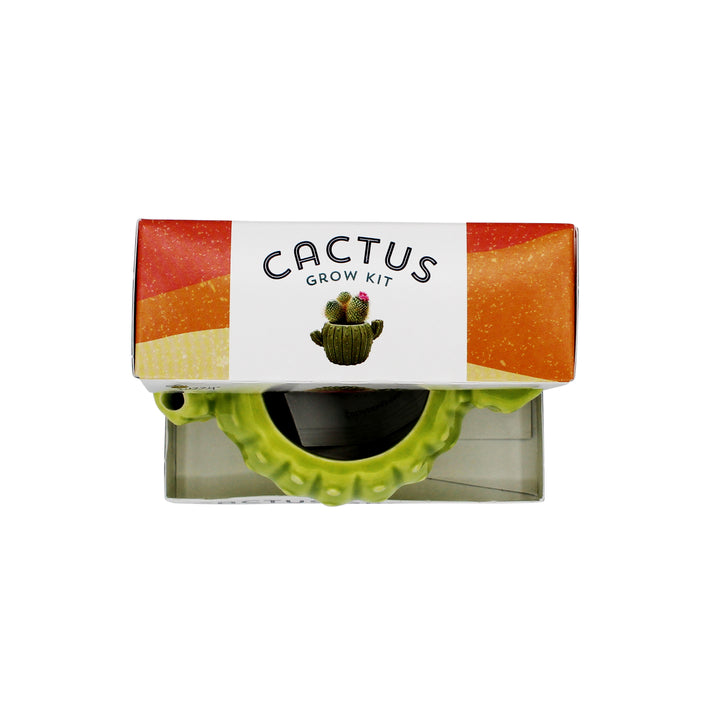 Mini Cactus Grow Kit | 4-Pack Ceramic Planters for Home & Office