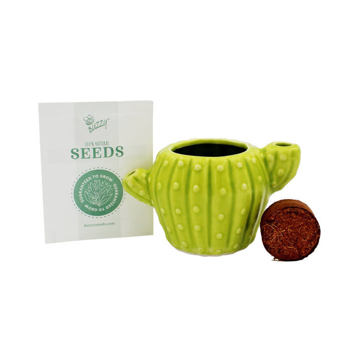 Mini Cactus Grow Kit | 4-Pack Ceramic Planters for Home & Office
