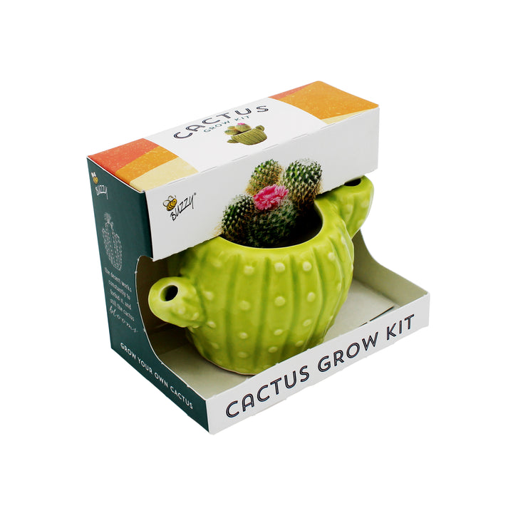 Mini Cactus Grow Kit | 4-Pack Ceramic Planters for Home & Office