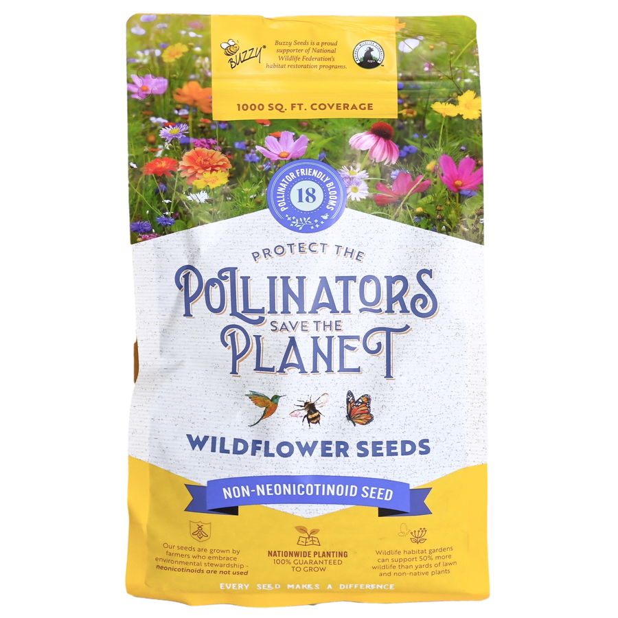 Buzzy Seeds – Seed Grow Kits For Every Occasion