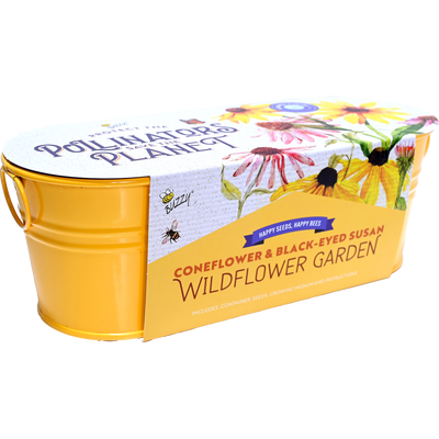 Wildflower Garden Pollinator Windowsill Grow Kit | Purple Coneflower & Black-Eyed Susan