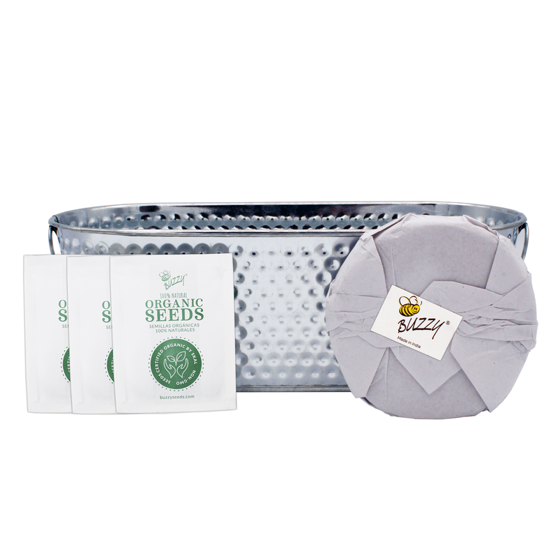 Grilling Herbs Organic Rosemary, Sage, & Thyme Windowsill Grow Kit