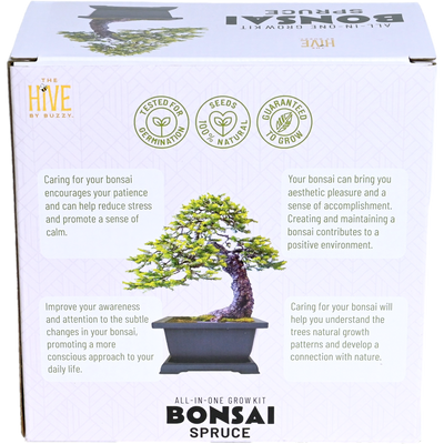 Spruce Bonsai Complete Grow Kit