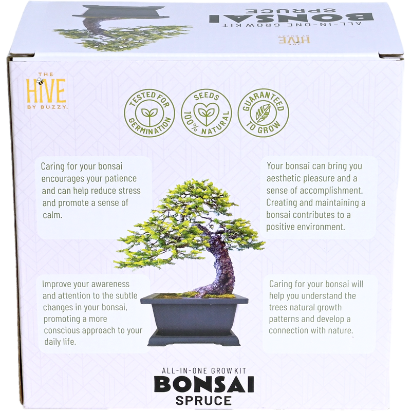 Spruce Bonsai Complete Grow Kit