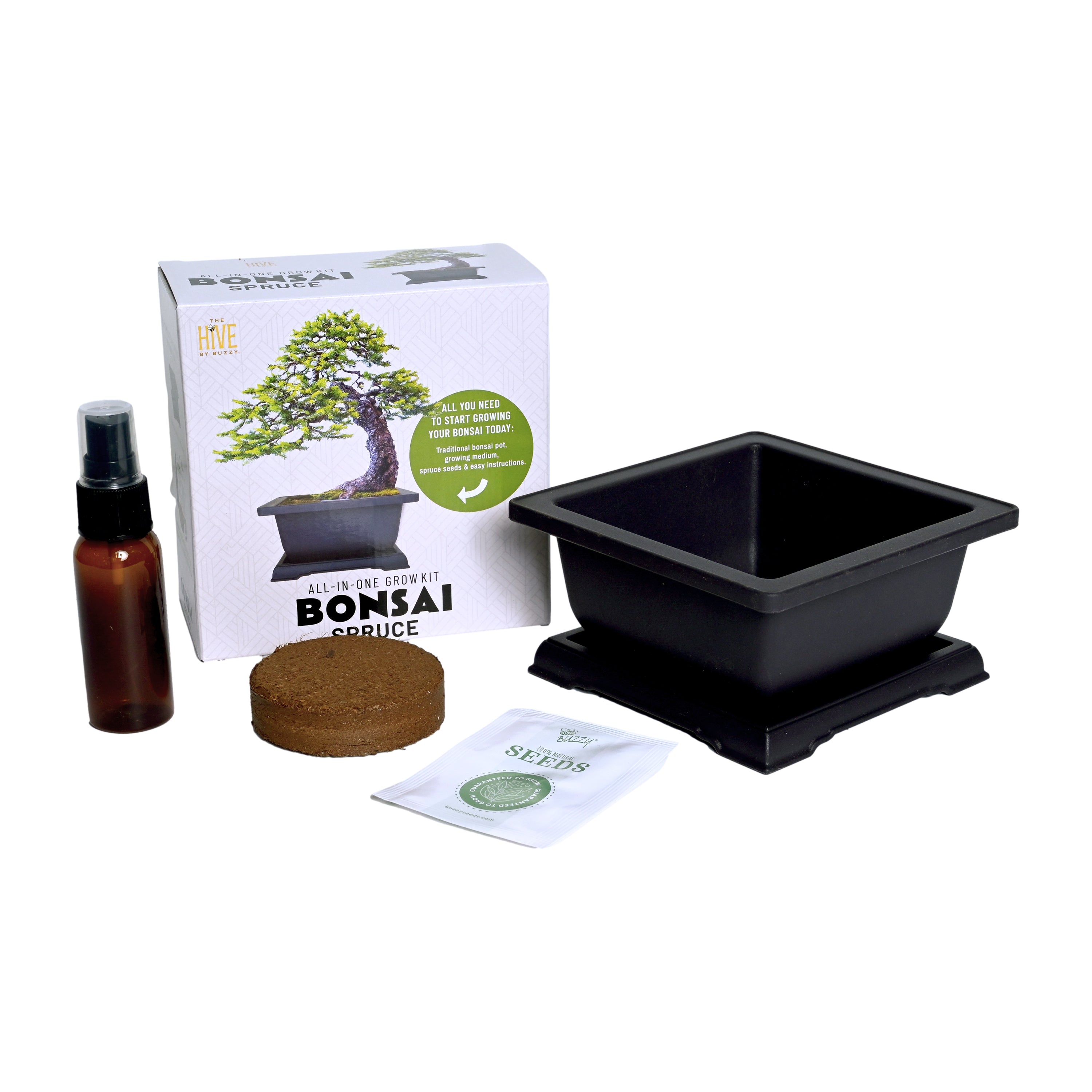 Complete Spruce Bonsai Grow Kit for Beginners – Buzzy Seeds