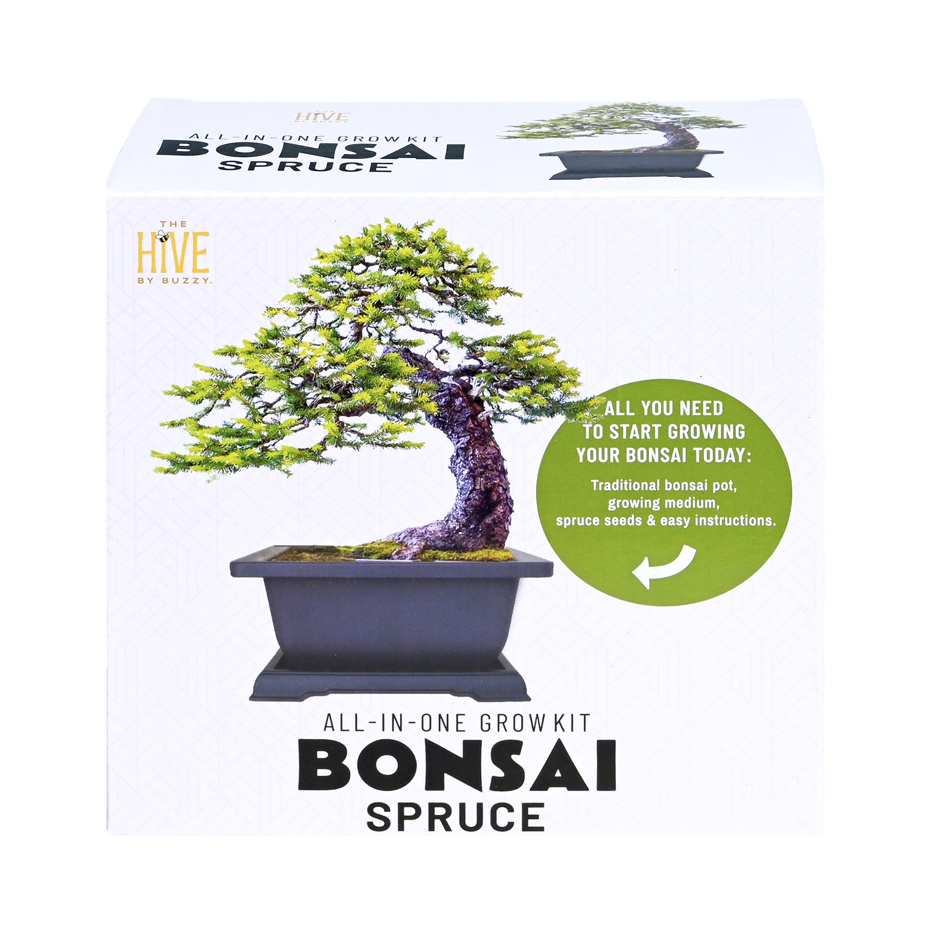 Bonsai Spruce Grow Kit