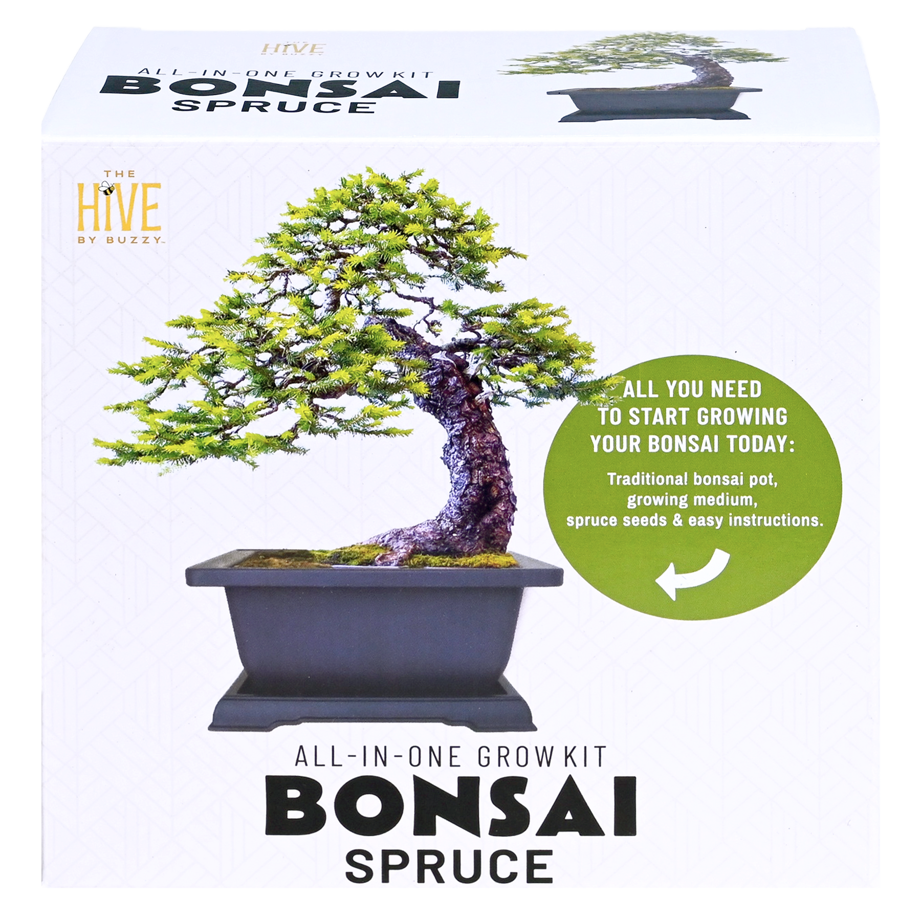 grow your own bonsai tree instructions Bonsai Spruce Grow Kit — Learning Express Houston