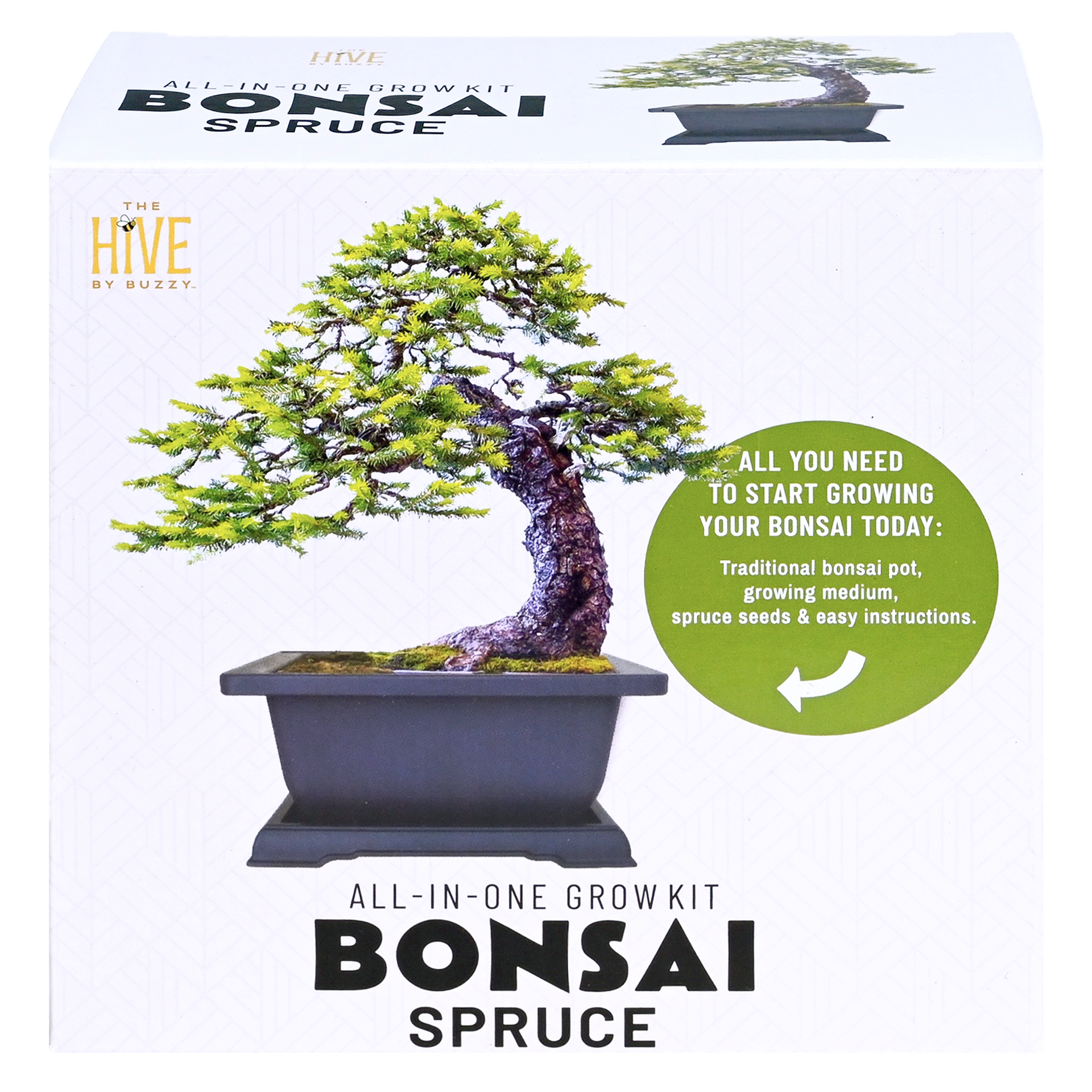 Spruce Bonsai Complete Grow Kit | Buzzy Seeds