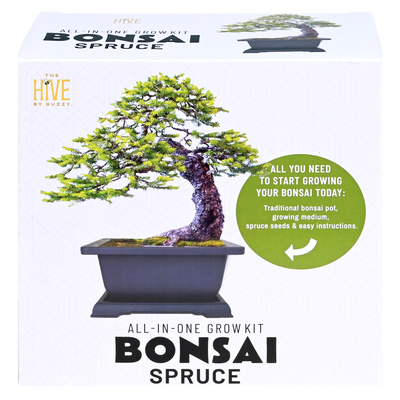 Spruce Bonsai Complete Grow Kit