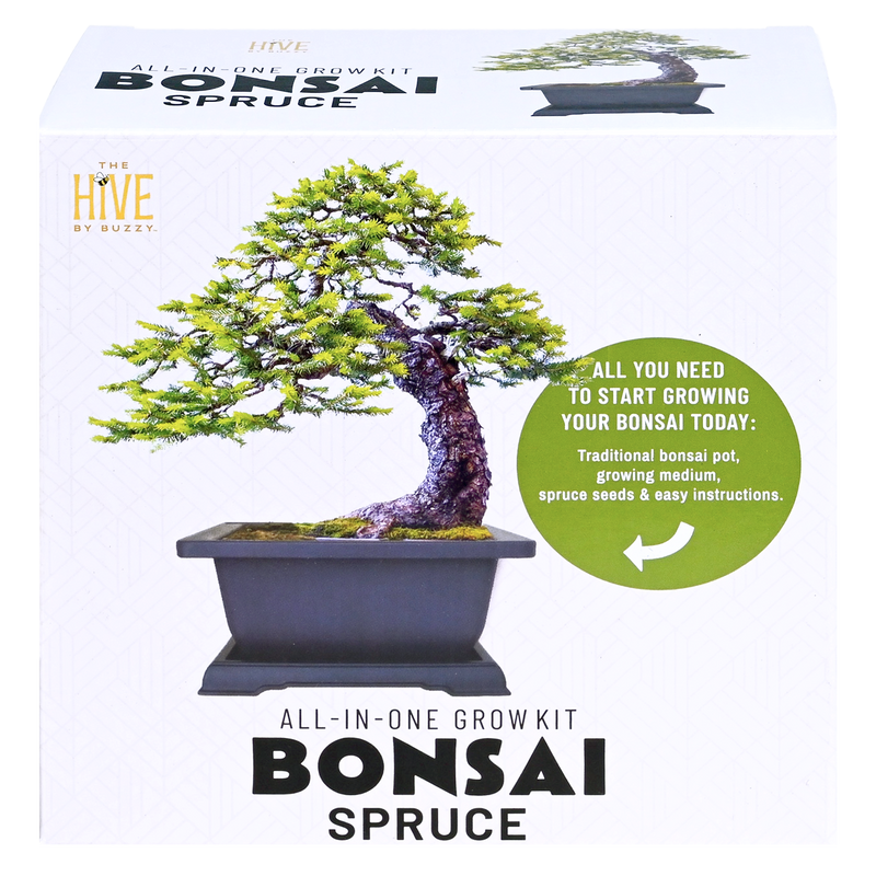 Spruce Bonsai Complete Grow Kit