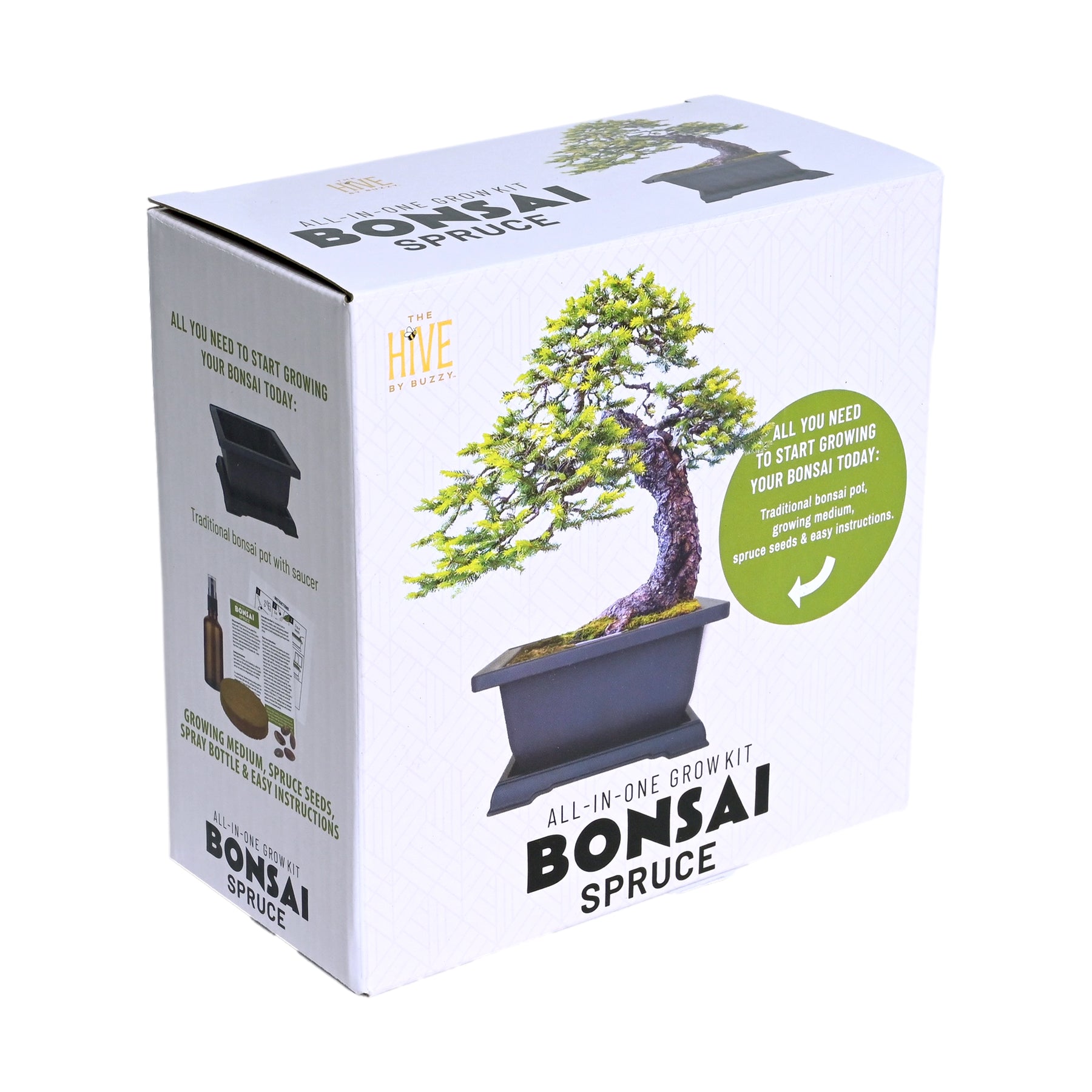 bonsai starter tree Complete Spruce Bonsai Grow Kit for Beginners – Buzzy Seeds