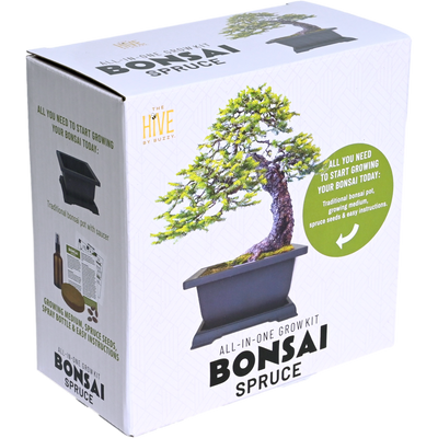 Spruce Bonsai Complete Grow Kit