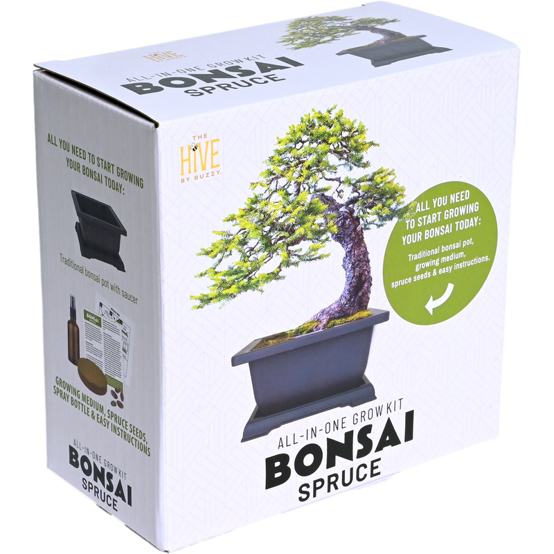 Spruce Bonsai Complete Grow Kit