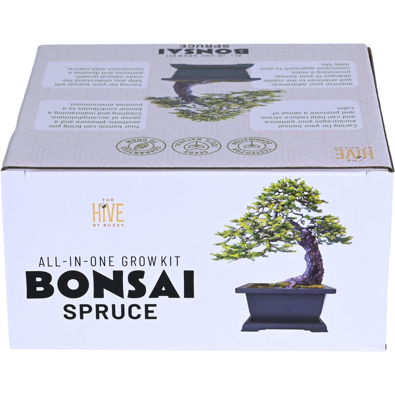 Spruce Bonsai Complete Grow Kit