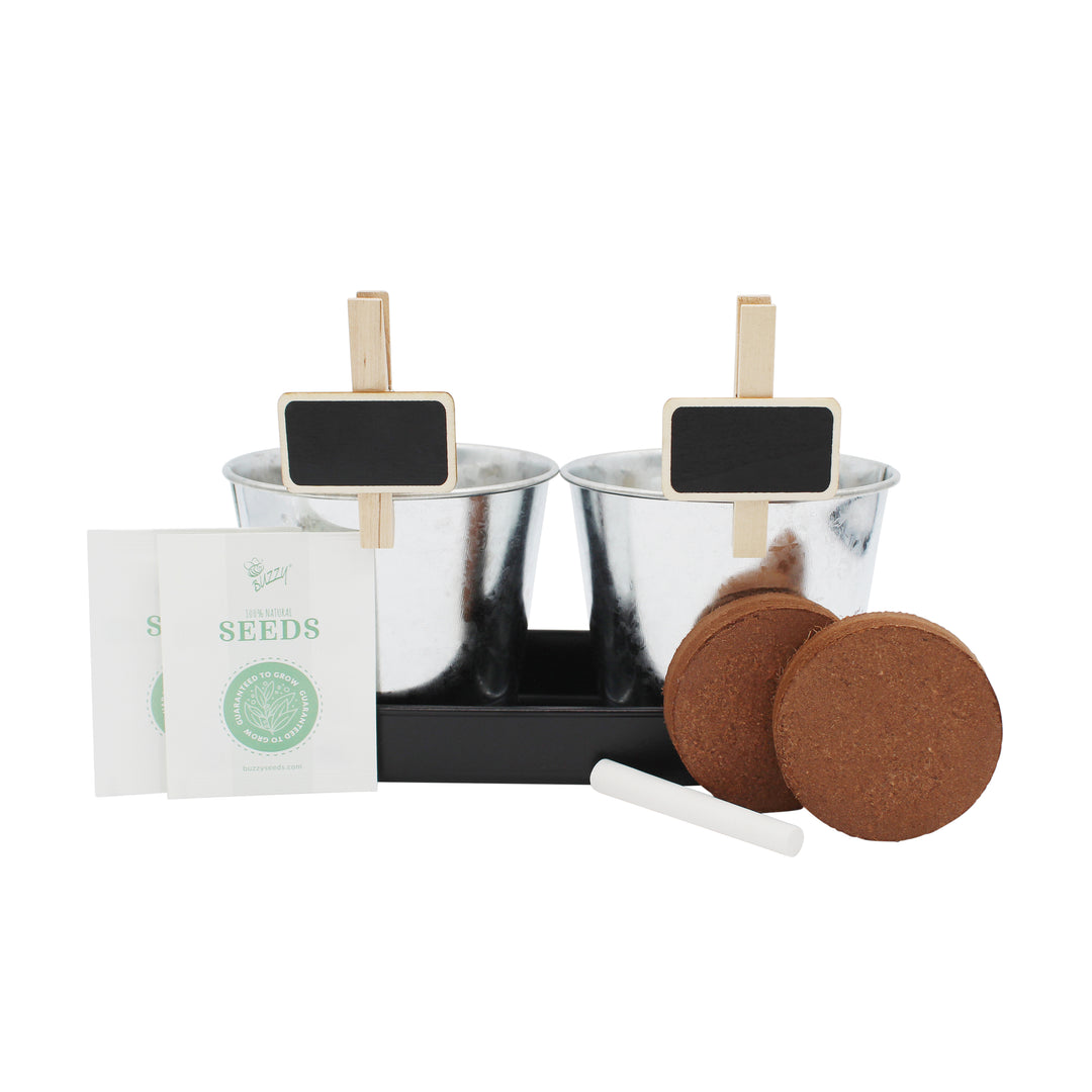 My First Garden Grow Kit for Kids | 2-Pack Tomato & Sunflower Gardening Set