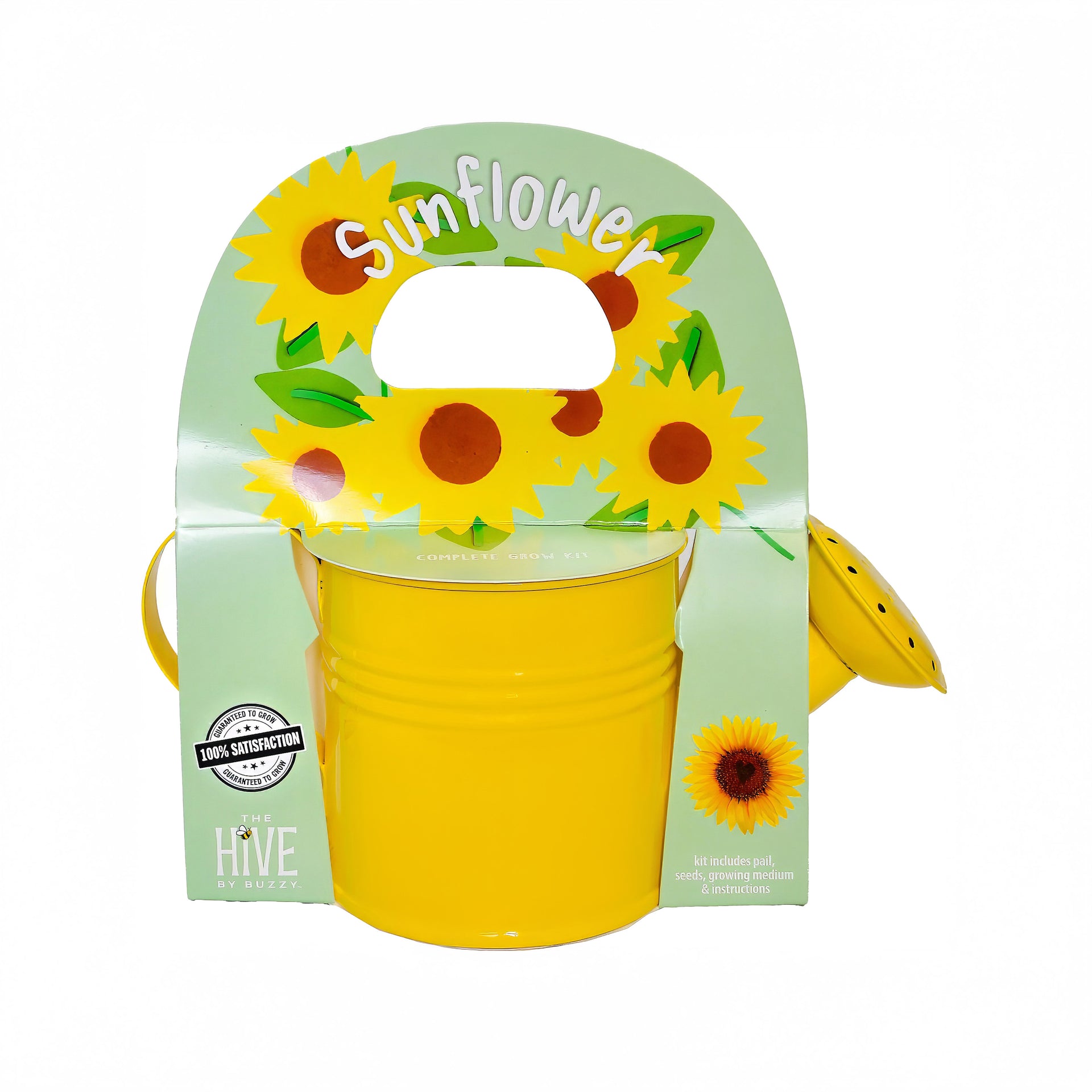 watering flower seeds Kids Watering Can Sunflower Grow Kit