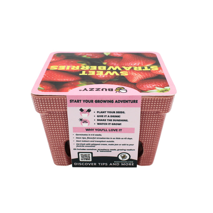 starting seeds in strawberry containers Strawberry Grow Kit