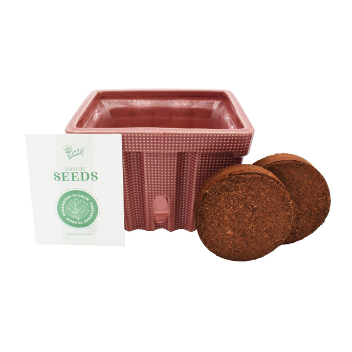 seed planter kit Strawberry Grow Kit