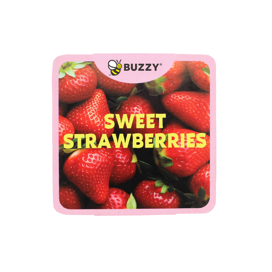 Strawberry Grow Kit | Ceramic Basket Planter