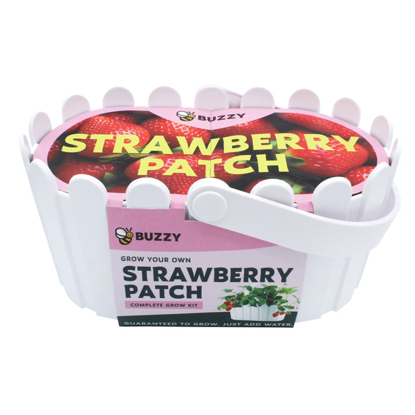 Strawberry Grow Kit | White Basket Planter