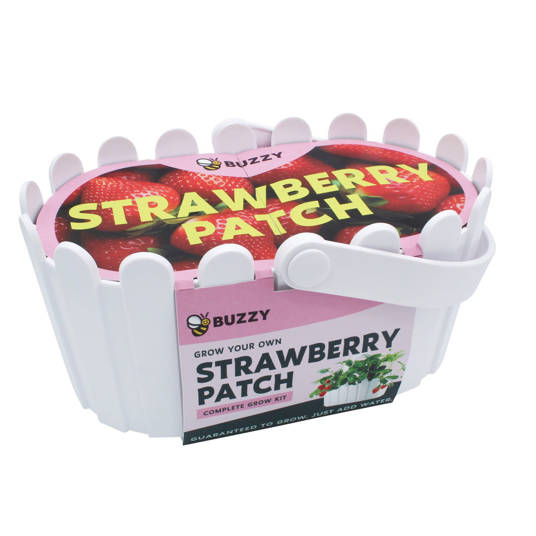 Strawberry Grow Kit | White Basket Planter