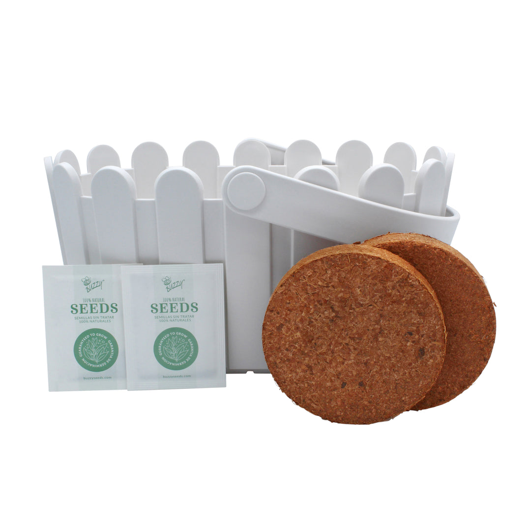 buzzy seeds strawberry patch Strawberry Grow Kit