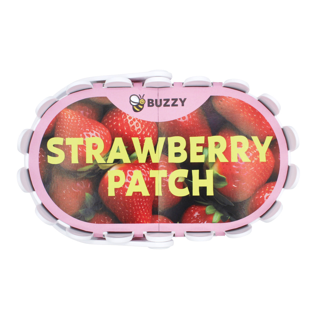 buzzy seeds strawberry Strawberry Grow Kit in Decorative White Basket Planter – Buzzy Seeds