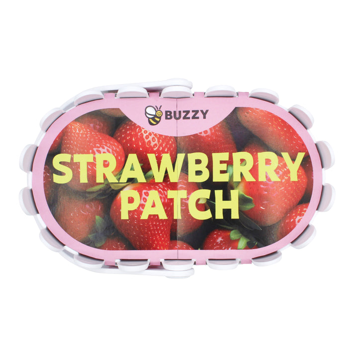 Strawberry Grow Kit | White Basket Planter