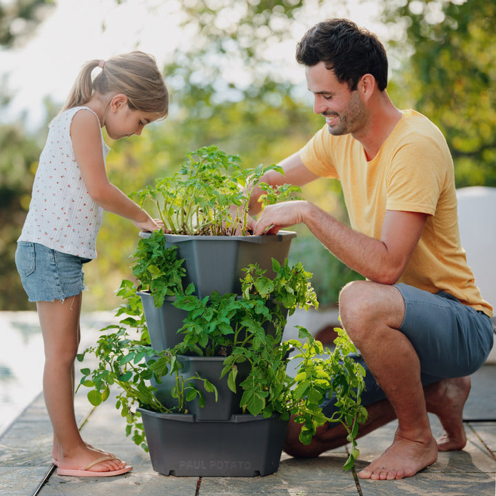 Modular Raised Garden Tower | 4-Level Vertical Planter for Potatoes, Strawberries, Vegetables & Flowers (Anthracite/Gray)
