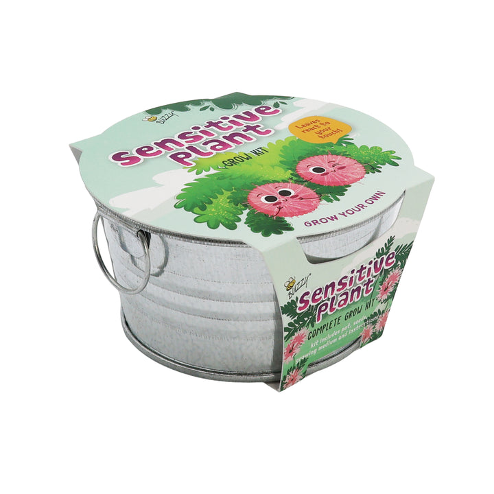 Kids Mini Basin Grow Kit Trio | Cactus, Strawberry & Sensitive Plant (3 Pack)