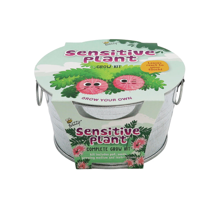 Kids Mini Basin Grow Kit Trio | Cactus, Strawberry & Sensitive Plant (3 Pack)
