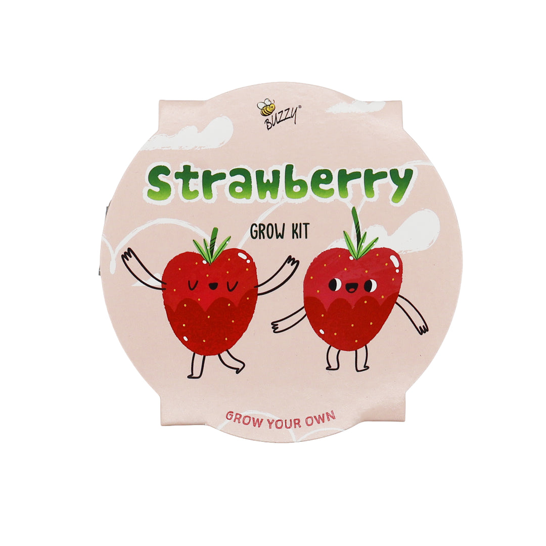 Kids Mini Basin Grow Kit Trio | Cactus, Strawberry & Sensitive Plant (3 Pack)