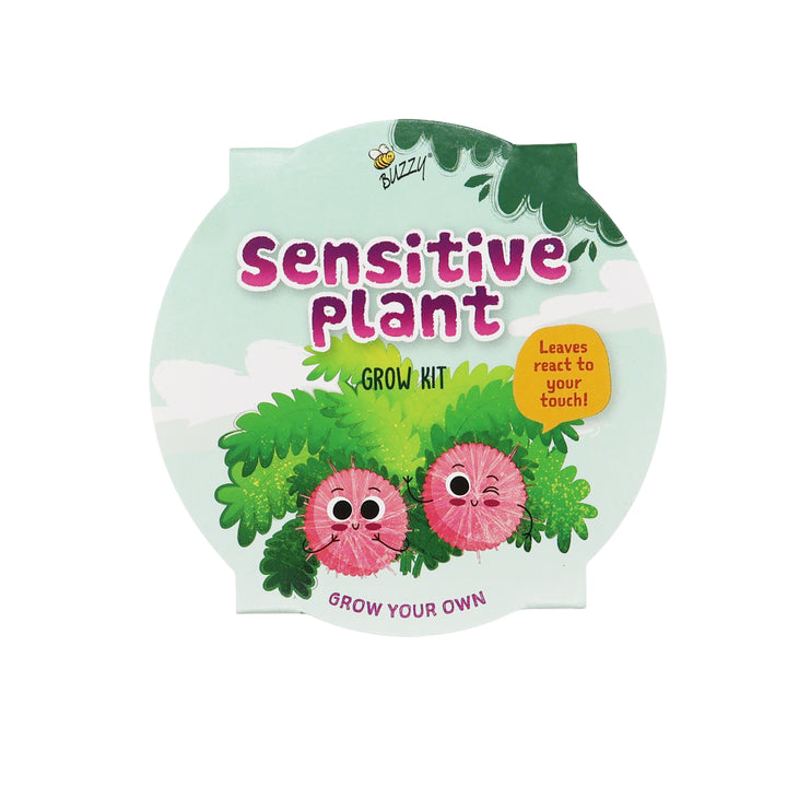 Kids Mini Basin Grow Kit Trio | Cactus, Strawberry & Sensitive Plant (3 Pack)