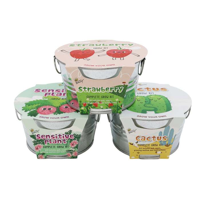 Kids Mini Basin Grow Kit Trio | Cactus, Strawberry & Sensitive Plant (3 Pack)