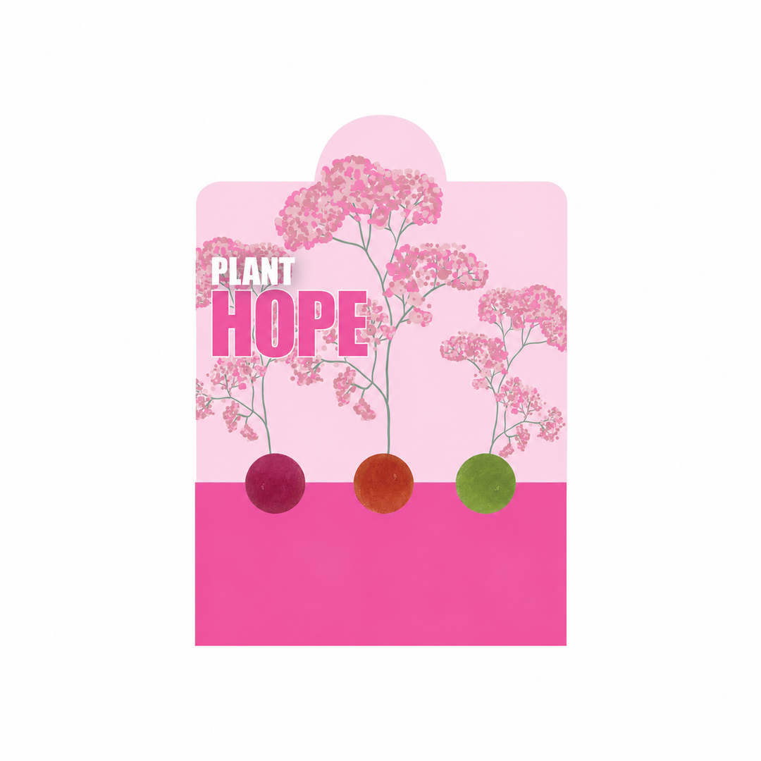 Buzzy Seeds BCA wildflower seed balls pollinator flower mix three-count free gift card