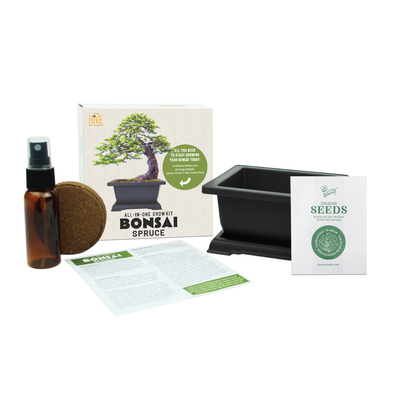 Spruce Bonsai Complete Grow Kit