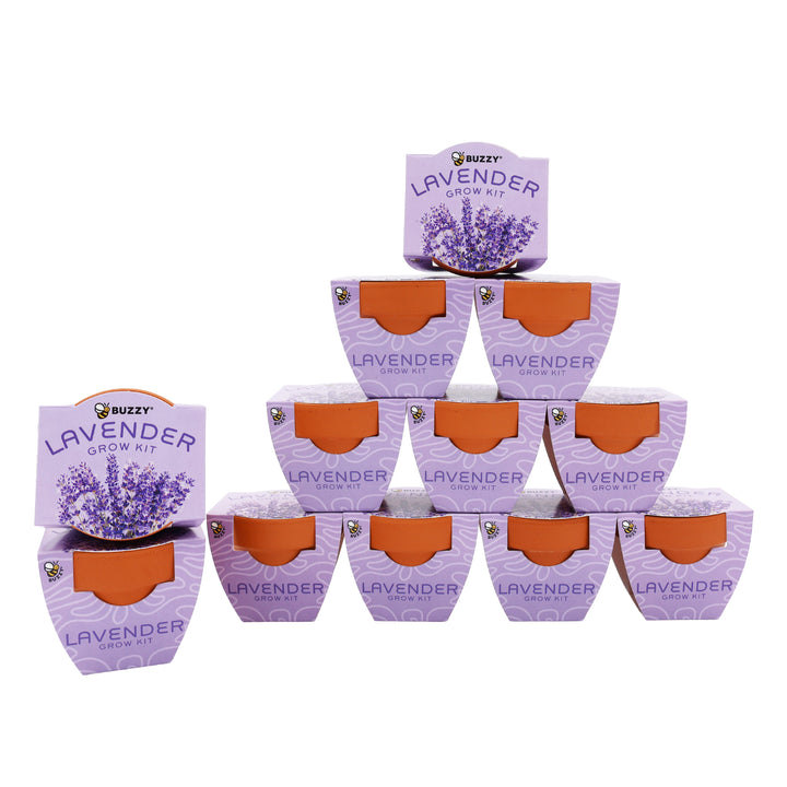 Bright Mini Terracotta Grow Pots | Lavender 12-pack