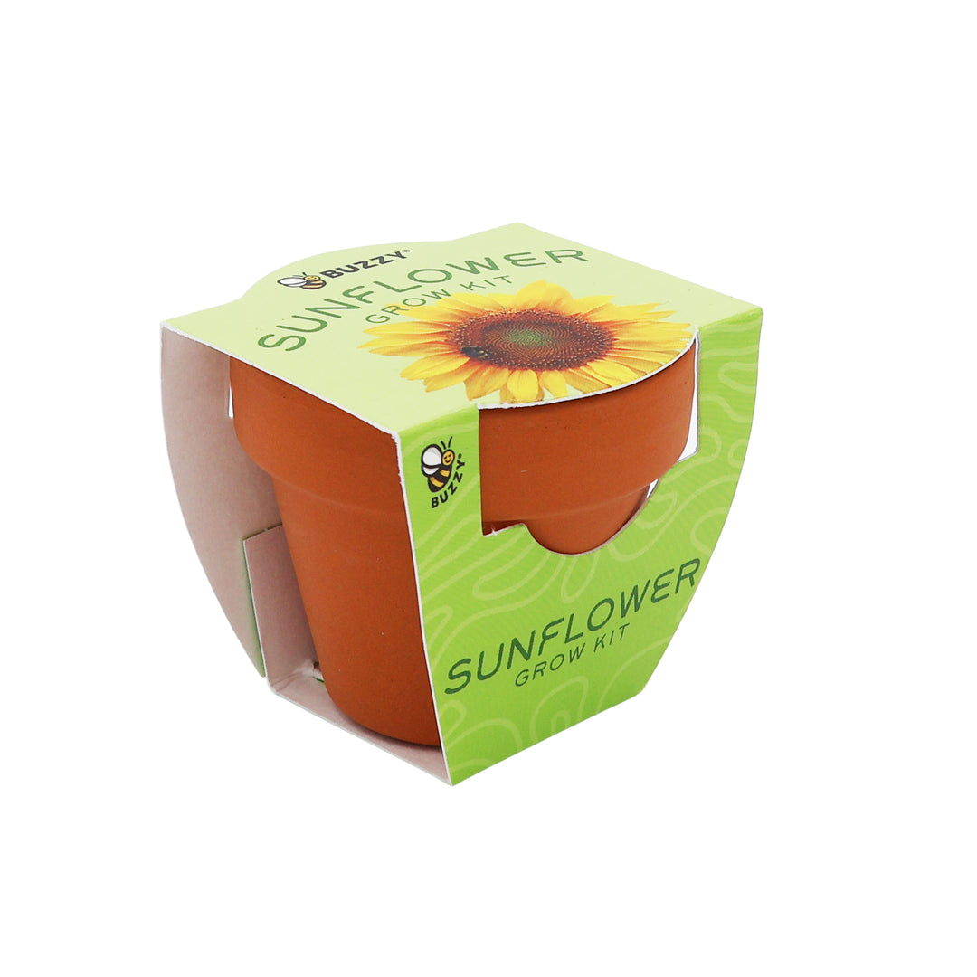 Bright Mini Terracotta Grow Pots | Sunflower 12-pack