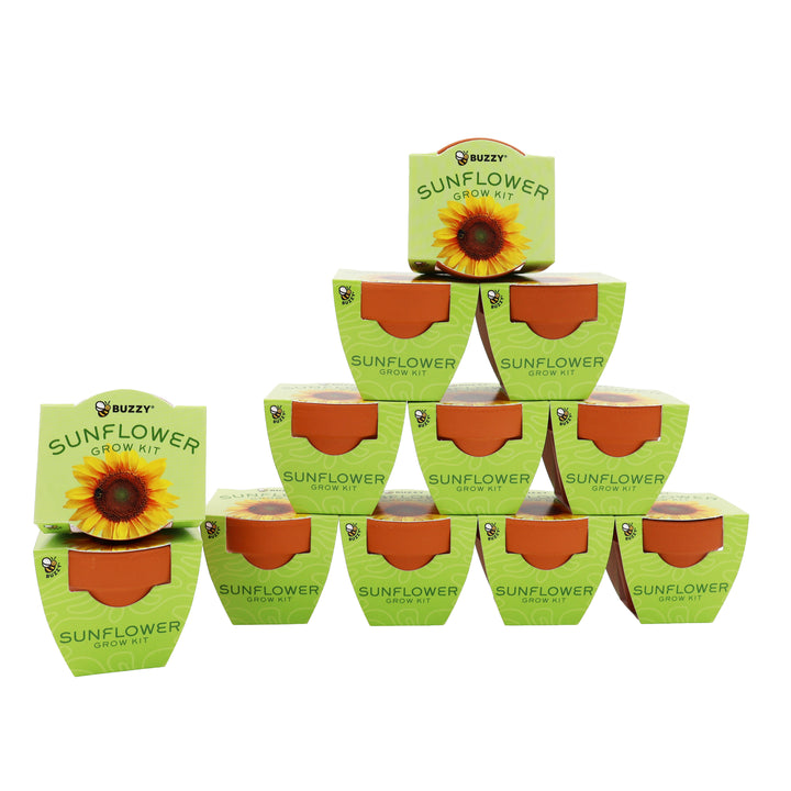Bright Mini Terracotta Grow Pots | Sunflower 12-pack