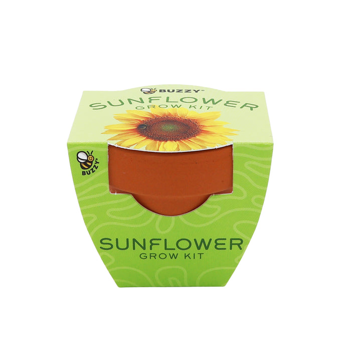 Bright Mini Terracotta Grow Pots | Sunflower 12-pack