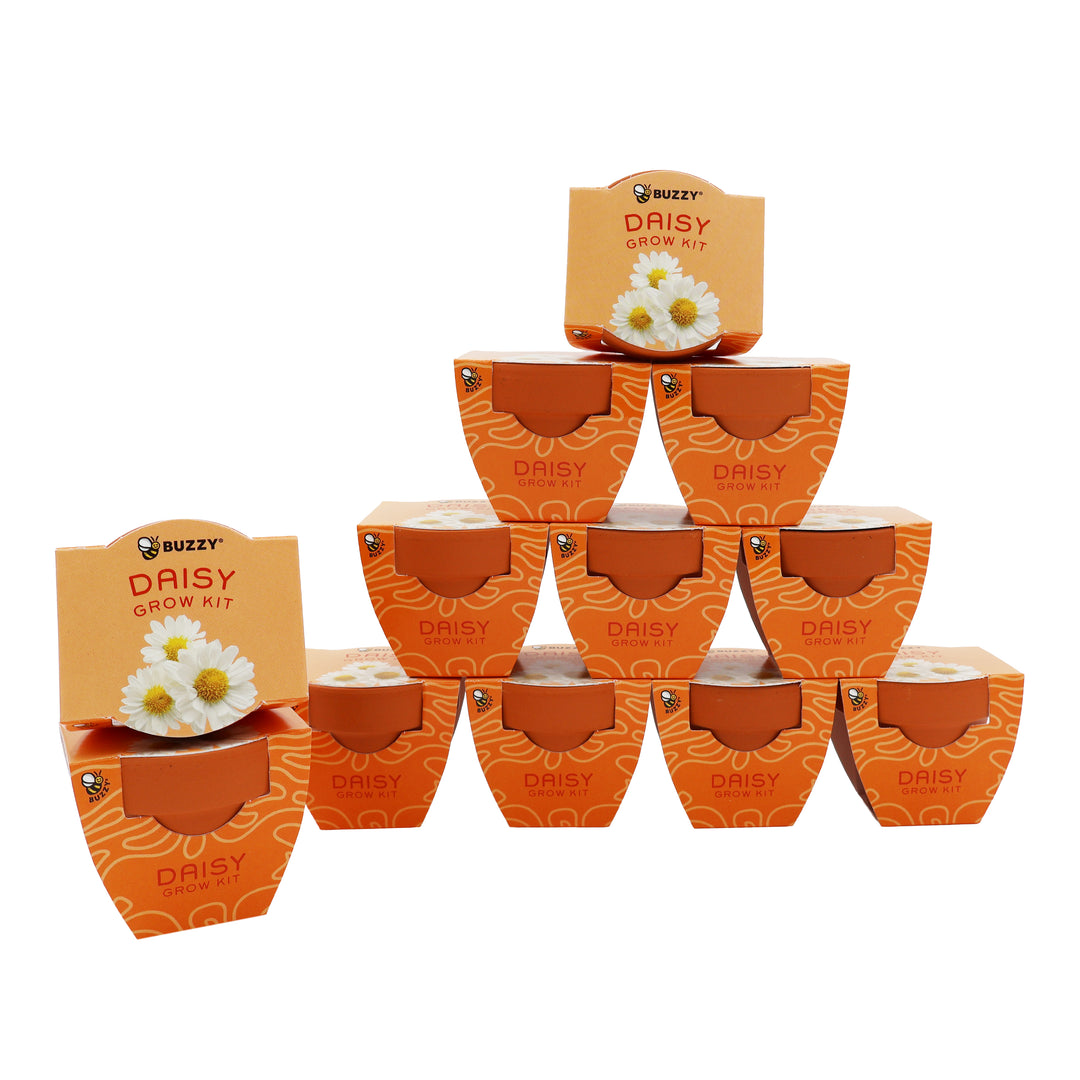 Bright Mini Terracotta Grow Pots | Daisy 12-pack