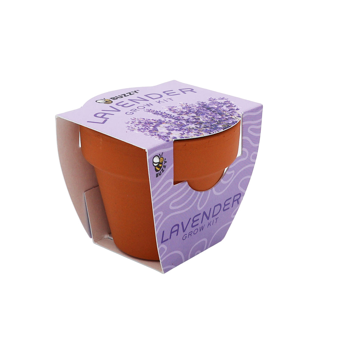Bright Mini Terracotta Grow Pots | Lavender 12-pack