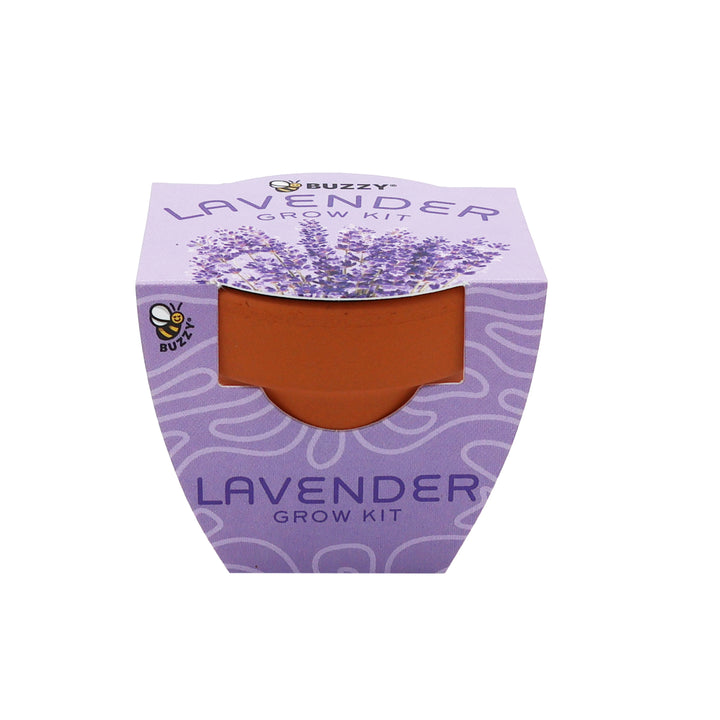 Bright Mini Terracotta Grow Pots | Lavender 12-pack