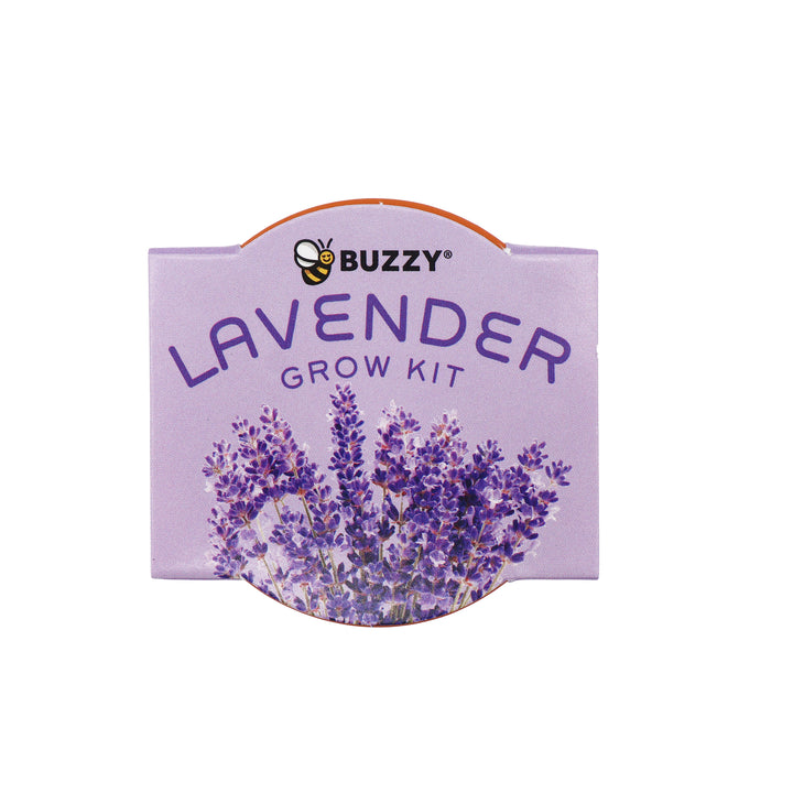 Bright Mini Terracotta Grow Pots | Lavender 12-pack