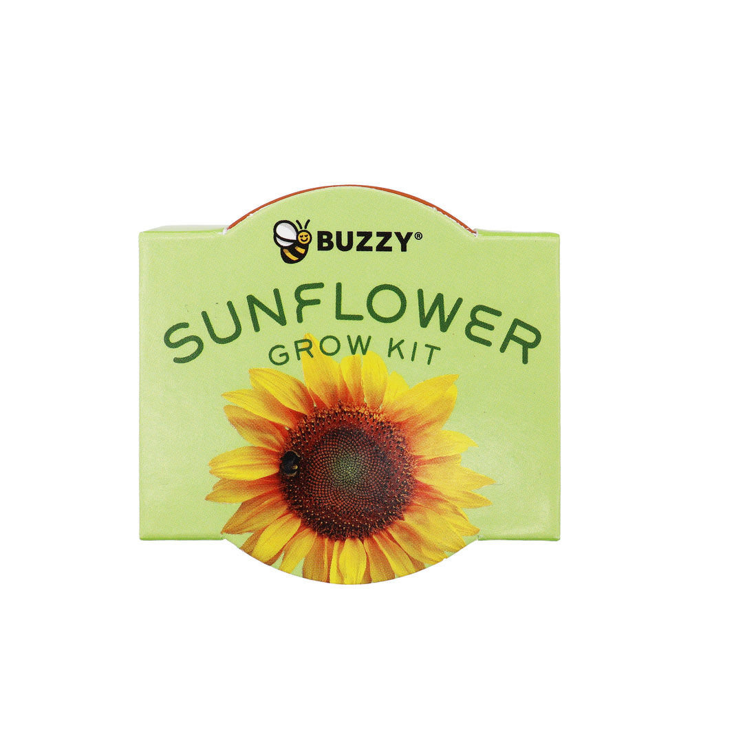 Bright Mini Terracotta Grow Pots | Sunflower 12-pack